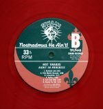 Hot Snakes ‎– Audit In Progress LP Plak - Görsel 6