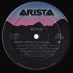 Exposé – Point Of No Return (All New Mixes!) 12'' Maxi Single Plak - Görsel 4