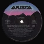Exposé – Point Of No Return (All New Mixes!) 12'' Maxi Single Plak - Görsel 3