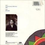 Tanita Tikaram – Twist In My Sobriety 45lik Plak - Görsel 2