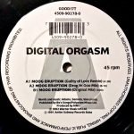 Digital Orgasm – Moog Eruption 12'' Maxi Single Plak (Techno) - Görsel 4