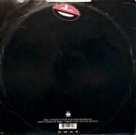 Digital Orgasm – Moog Eruption 12'' Maxi Single Plak (Techno) - Görsel 2