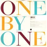Cher – One By One 12" Maxi Single Plak - Görsel 2