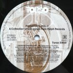 Potatoes - A Collection Of Folk Songs From Ralph Records LP Plak - Görsel 4
