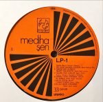 Mediha Şen – Klasik Türk Müziğinden Seçmeler :1 LP Plak - Görsel 4