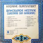 Kadriye Nurmambet – Bahcelerde Kestane (Castanii Din Grădină) LP Plak - Görsel 2