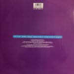Vitamino – What I've Got 12'' Maxi Single Plak (Early House) - Görsel 2