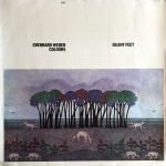Eberhard Weber Colours – Silent Feet LP Plak