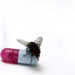 Red Hot Chili Peppers – I'm With You CD