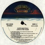 Curtis Mayfield – Love Is The Place LP Plak - Görsel 4