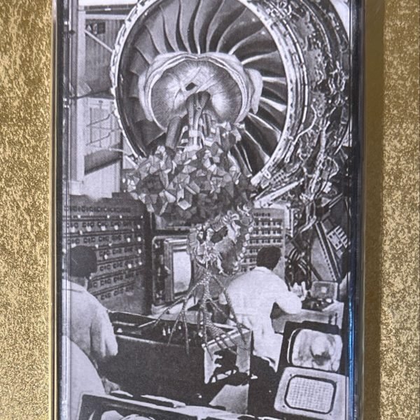 Government Alpha – Perpetual Motion Kaset (Noise)