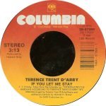 Terence Trent D'Arby – If You Let Me Stay 45lik Plak - Görsel 3