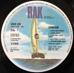 Donovan – Donovan LP Plak - Görsel 3