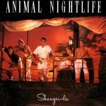 Animal Nightlife – Shangri-La LP Plak