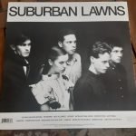 Suburban Lawns LP Plak - Görsel 2