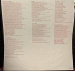 Roger McGuinn – Roger McGuinn LP Plak - Görsel 3