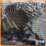 Lower Dens – Nootropics 2LP Plak - Görsel 2