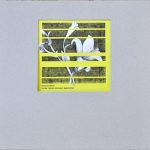 Nicolas Wiese – Living Theory Without Anecdotes LP Plak