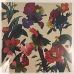 Washed Out – Paracosm LP Plak