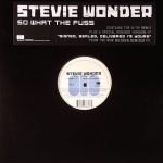 Stevie Wonder – So What The Fuss 12'' Maxi Single Plak
