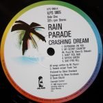 Rain Parade – Crashing Dream LP Plak - Görsel 3