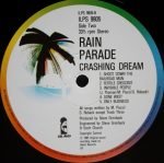 Rain Parade – Crashing Dream LP Plak - Görsel 4