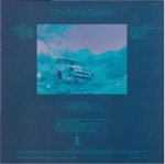 Rain Parade – Crashing Dream LP Plak - Görsel 2