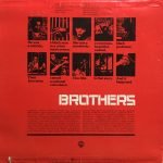 Taj Mahal – Brothers LP Plak - Görsel 2