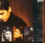 Tanita Tikaram – Everybody's Angel LP Plak - Görsel 2