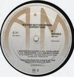 Rupert Hine – Waving Not Drowning LP Plak - Görsel 4