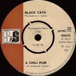 Black Cats ‎– A Chili Pum & Marcella 45lik Plak - Görsel 3