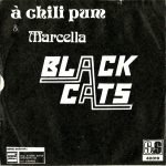 Black Cats ‎– A Chili Pum & Marcella 45lik Plak - Görsel 2