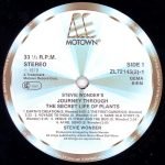 Stevie Wonder – Journey Through The Secret Life Of Plants 2LP Plak - Görsel 2