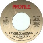 Boys Don't Cry – I Wanna Be A Cowboy 45lik Plak - Görsel 2