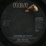 Mr. Mister – Broken Wings 45lik Plak