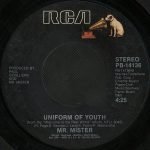 Mr. Mister – Broken Wings 45lik Plak