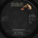Mr. Mister – Broken Wings 45lik Plak - Görsel 2