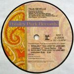 Taja Sevelle – Wouldn't You Love To Love Me? 12" Maxi Single Plak - Görsel 3