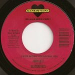 Joan Jett And The Blackhearts ‎– I Hate Myself For Loving You 45lik Plak - Görsel 2