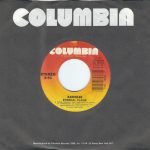 Bangles – Eternal Flame 45lik Plak