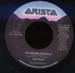 Exposé – Seasons Change 45lik Plak - Görsel 3