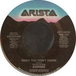 Exposé – What You Don't Know 45lik Plak - Görsel 3