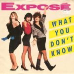 Exposé – What You Don't Know 45lik Plak