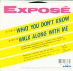 Exposé – What You Don't Know 45lik Plak - Görsel 2