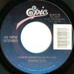 Jennifer Rush – Flames Of Paradise 45lik Plak - Görsel 2