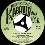 Dachl Überm Kopf 1. Teil 45lik Plak - Görsel 3