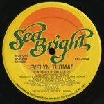 Evelyn Thomas – How Many Hearts 12" Maxi Single Plak (80s Disco)