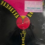Shirley Lewis – You Can't Hide 12'' Maxi Single Plak (Early House)
