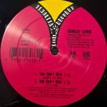Shirley Lewis – You Can't Hide 12'' Maxi Single Plak (Early House) - Görsel 2