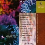 Steve Morse Band – Split Decision CD - Görsel 2